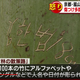 Illustration for article titled Tourists Are Ruining Kyotos Scenic Beauty